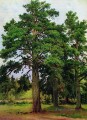 太陽のない松 メアリー・ハウ 1890 古典的な風景 イワン・イワノビッチの木